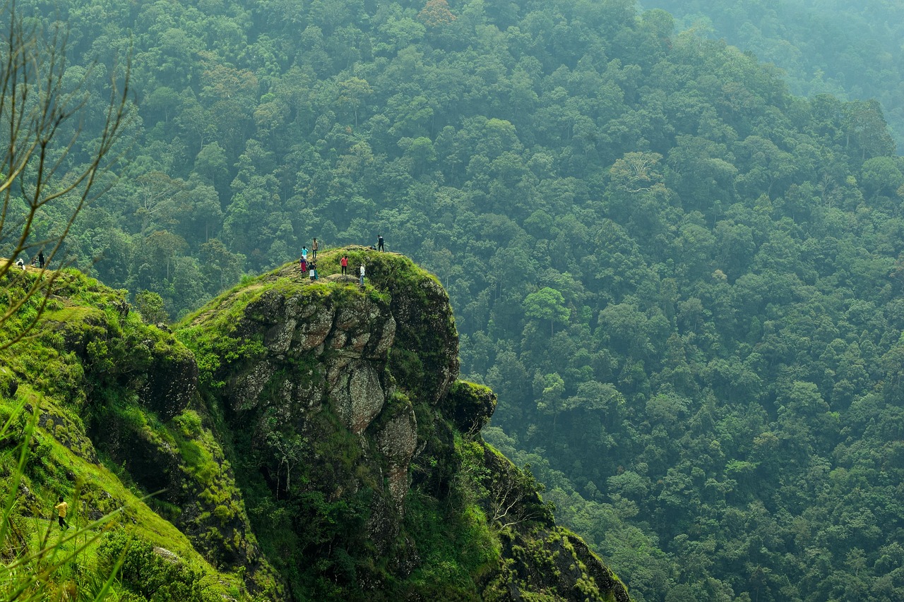 Complete Kerala Experience & Beach Getaway